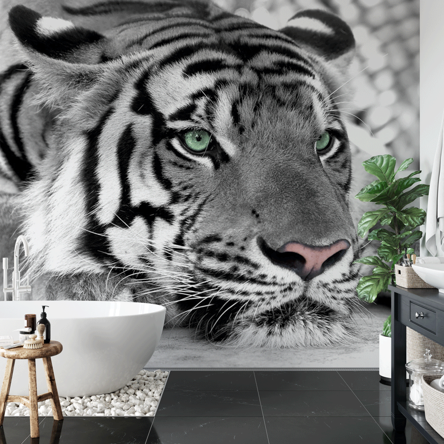 Papier peint panoramique tigre blanc majestueux - Pure Panoramique